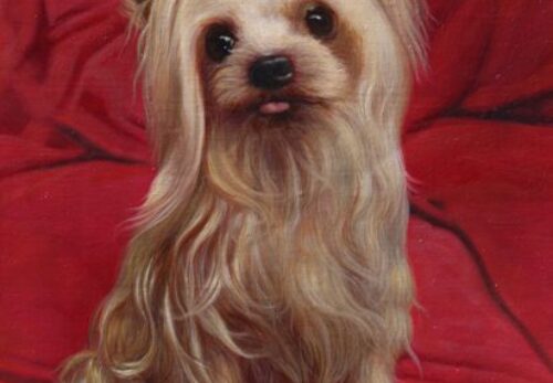 A Custom Pet Portrait Is More Than Decoration — It’s a Memory That Stays