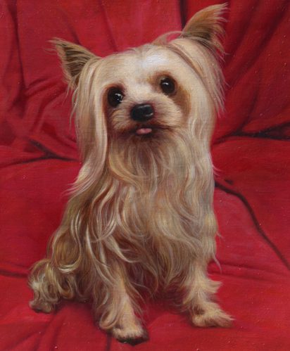 A Custom Pet Portrait Is More Than Decoration — It’s a Memory That Stays