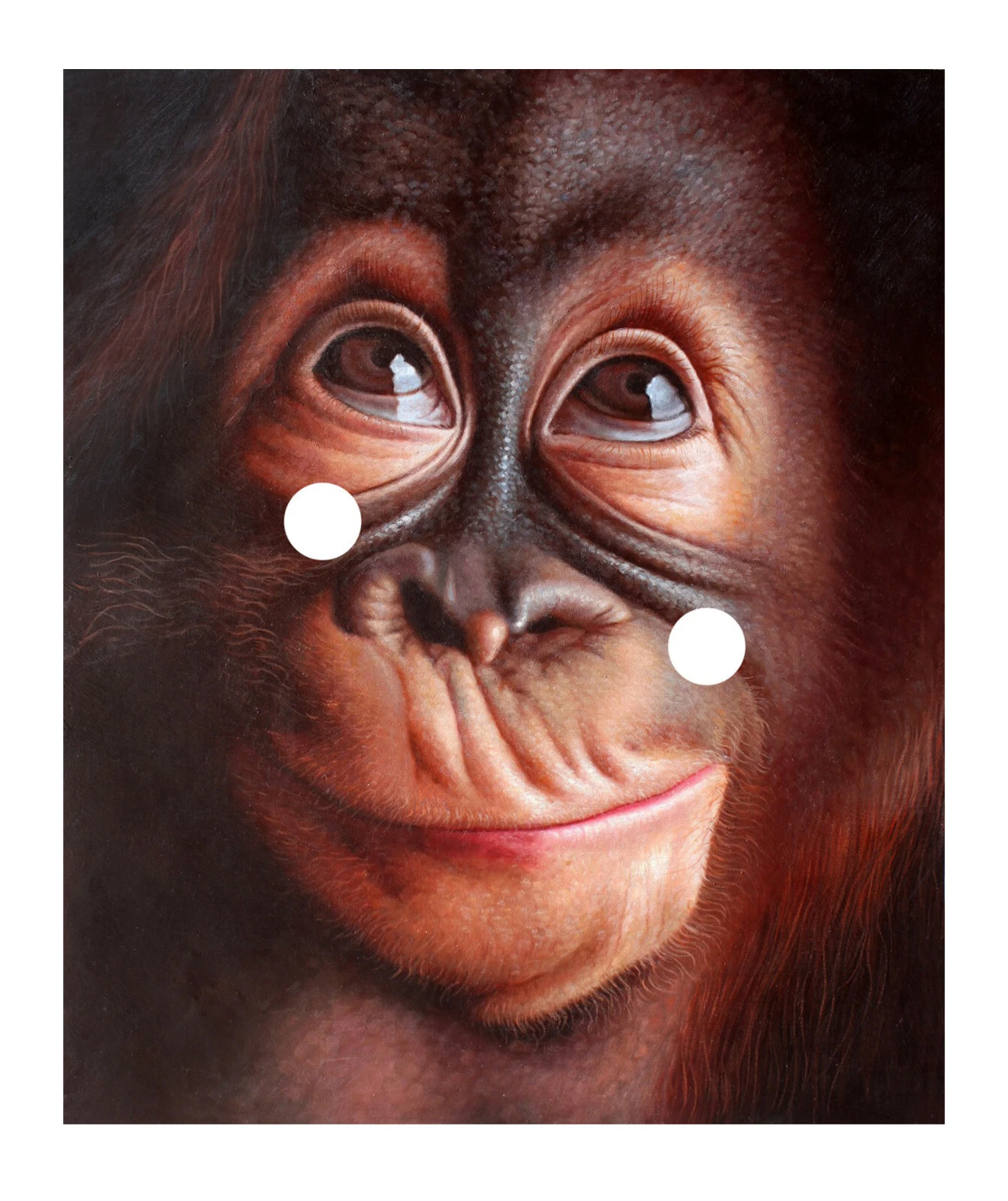 original canvas transfer adds hand paint contemporary cute baby orangutan portrait wall art prints Decor.